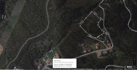 CPM20260 Terreno c/ 10.000m2 perto Rio Douro, 39.500€ prx habitações Canedo, Santa Maria da Feira,