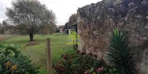 CPM20277 Moradia / Quintinha c/ + 6.000m2  182.500,00€ a 31,00€/m2, em V N. Gaia, Porto