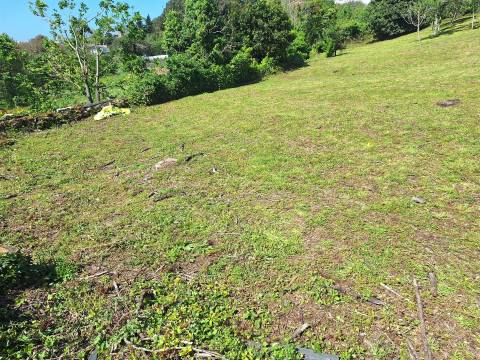 CPM20311 Terreno p/ Moradia 4 Frt c/ 885m2 e poço só 130.000€, Avintes  próximo J. F. Avintes