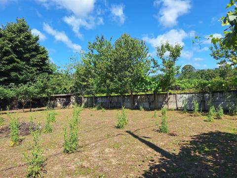 Moradia T3+1 Venda em Bordonhos,São Pedro do Sul