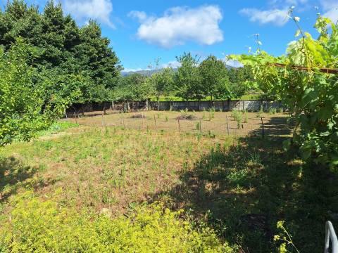 Moradia T3+1 Venda em Bordonhos,São Pedro do Sul