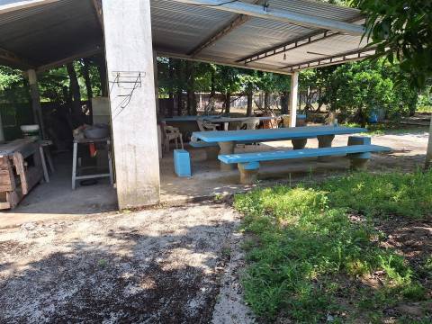 Moradia T3+1 Venda em Bordonhos,São Pedro do Sul