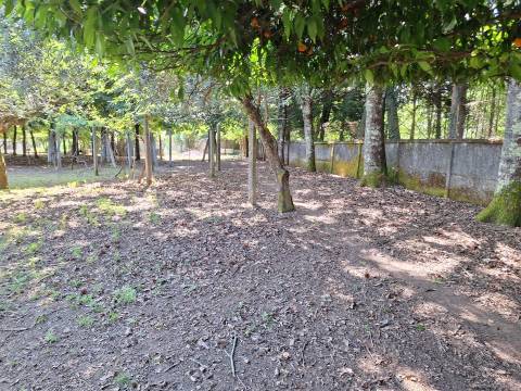 Moradia T3+1 Venda em Bordonhos,São Pedro do Sul