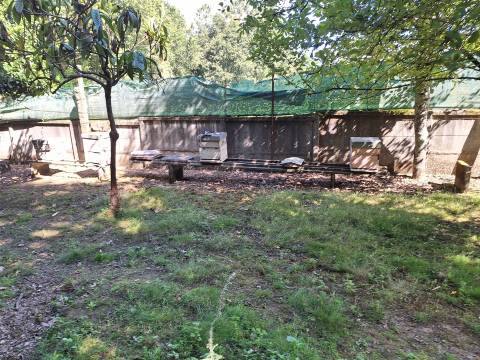 Moradia T3+1 Venda em Bordonhos,São Pedro do Sul