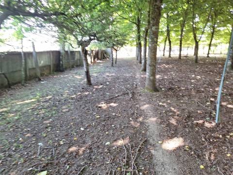 Moradia T3+1 Venda em Bordonhos,São Pedro do Sul