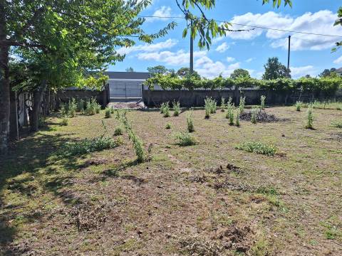 Moradia T3+1 Venda em Bordonhos,São Pedro do Sul