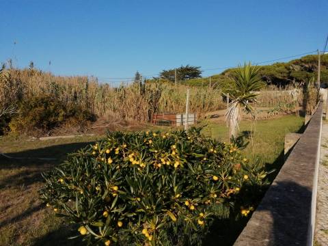 Terreno Urbano em Sintra, Praia das Maçãs