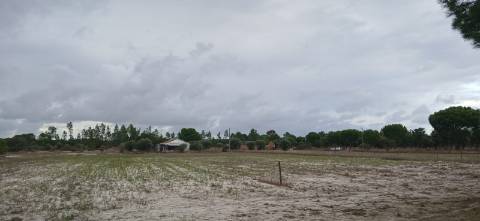 Terreno em Grândola com projeto aprovado