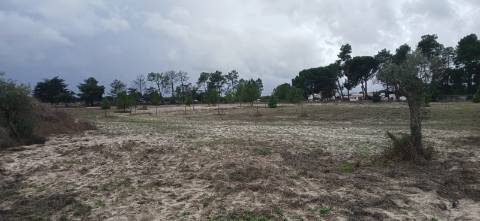 Terreno em Grândola com projeto aprovado