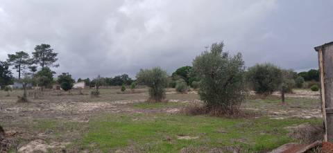 Terreno em Grândola com projeto aprovado
