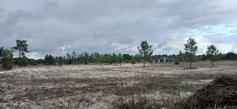 Terreno em Grândola com projeto aprovado