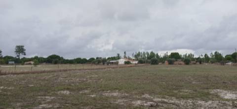 Terreno em Grândola com projeto aprovado