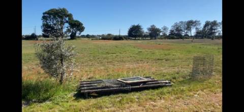 Terreno em Grândola com projeto aprovado