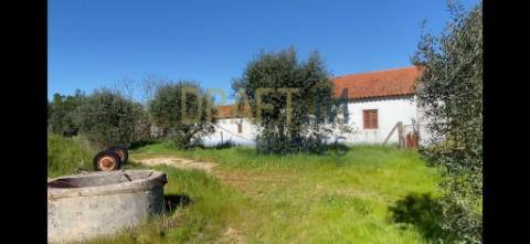 Terreno  com casa para recuperar ou para construção nova de raiz projeto aprovado Grândola