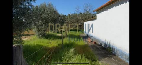 Terreno  com casa para recuperar ou para construção nova de raiz projeto aprovado Grândola