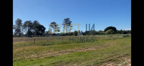 Terreno  com casa para recuperar ou para construção nova de raiz projeto aprovado Grândola