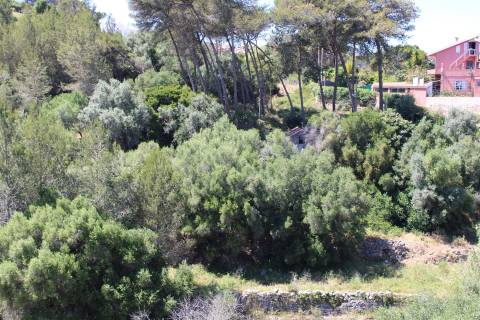 Terreno misto em Cascais