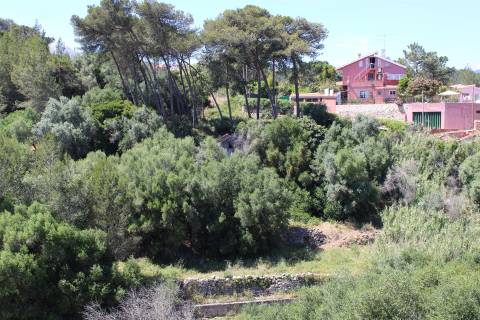 Terreno misto em Cascais