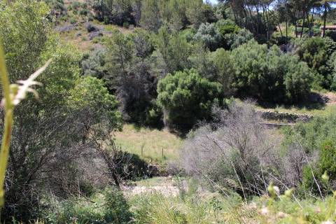 Terreno misto em Cascais