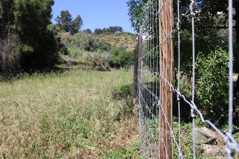Terreno misto em Cascais