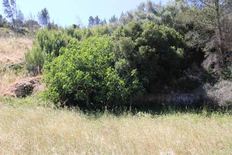 Terreno misto em Cascais