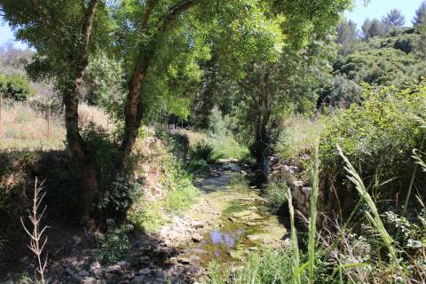 Terreno misto em Cascais