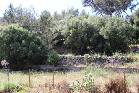 Terreno misto em Cascais