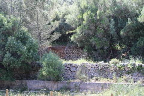 Terreno misto em Cascais