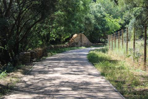 Terreno misto em Cascais