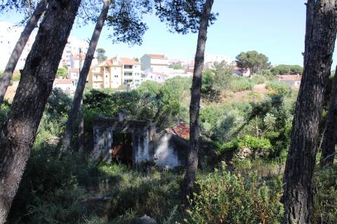 Terreno misto em Cascais