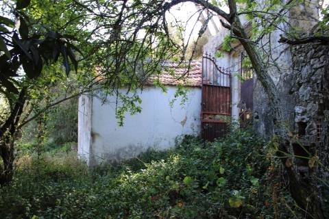 Terreno misto em Cascais