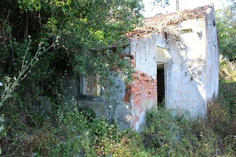 Terreno misto em Cascais
