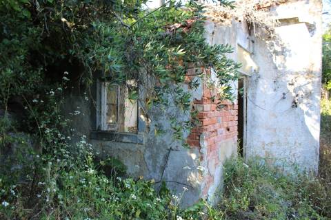 Terreno misto em Cascais