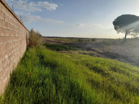 Terreno rústico inserido numa malha urbana com duas frente centro do Granho.
