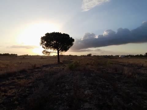 Terreno rústico inserido numa malha urbana com duas frente centro do Granho.