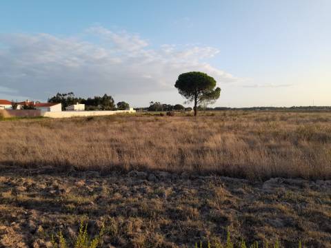 Terreno rústico inserido numa malha urbana com duas frente centro do Granho.