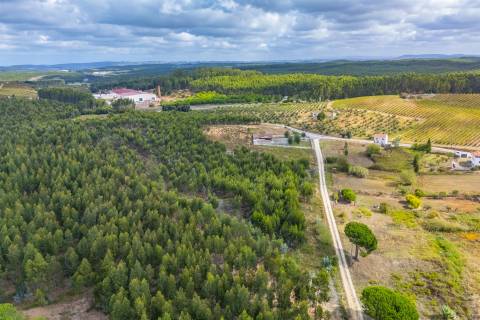 Lote de Terreno para construção 1000 m2.   Inserido em loteamento  para 7 moradias.