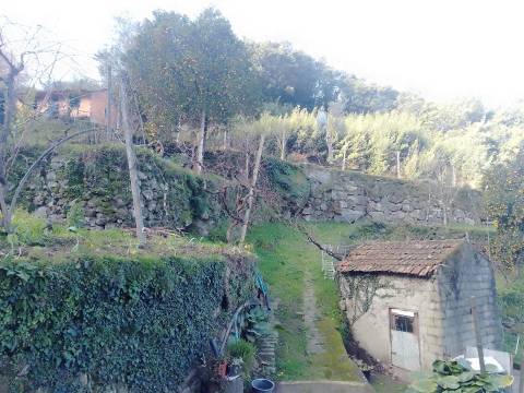 Terreno Rústico em Cinfães - Viseu Venda de Terreno em Cinfães - Viseu