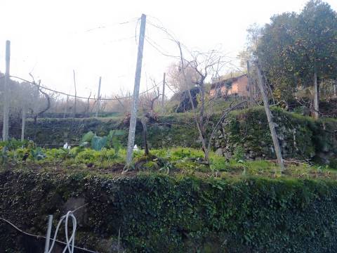 Terreno Rústico em Cinfães - Viseu Venda de Terreno em Cinfães - Viseu