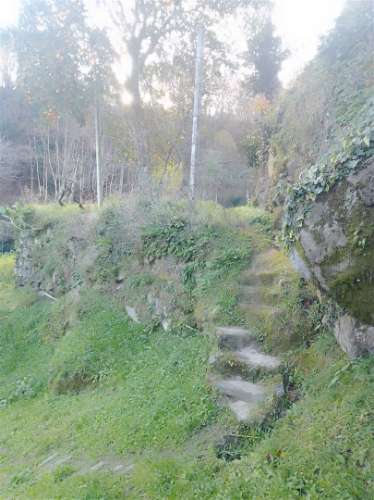 Terreno Rústico em Cinfães - Viseu Venda de Terreno em Cinfães - Viseu