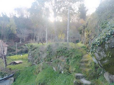 Terreno Rústico em Cinfães - Viseu Venda de Terreno em Cinfães - Viseu