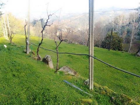 Terreno Rústico em Cinfães - Viseu Venda de Terreno em Cinfães - Viseu