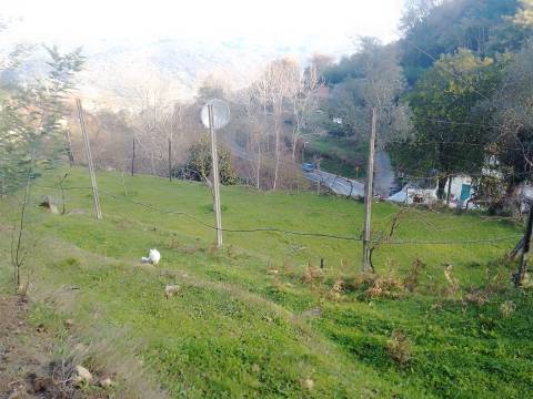 Terreno Rústico em Cinfães - Viseu Venda de Terreno em Cinfães - Viseu