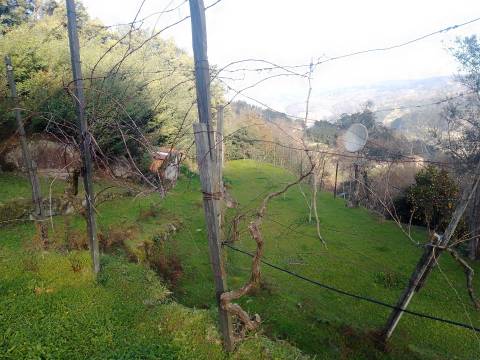 Terreno Rústico em Cinfães - Viseu Venda de Terreno em Cinfães - Viseu