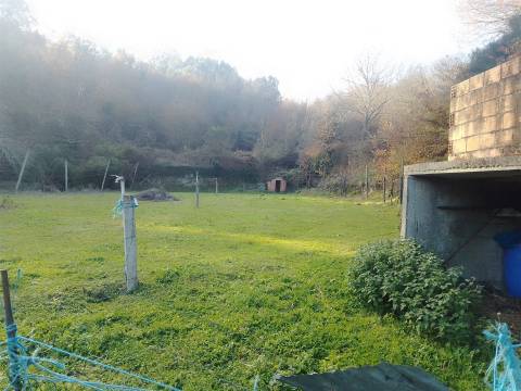 Terreno Rústico em Cinfães - Viseu Venda de Terreno em Cinfães - Viseu