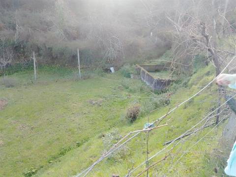 Terreno Rústico em Cinfães - Viseu Venda de Terreno em Cinfães - Viseu