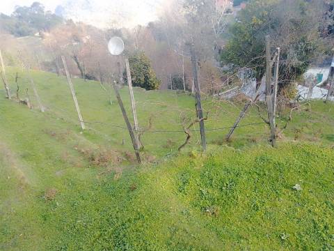 Terreno Rústico em Cinfães - Viseu Venda de Terreno em Cinfães - Viseu