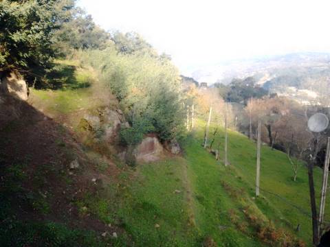 Terreno Rústico em Cinfães - Viseu Venda de Terreno em Cinfães - Viseu