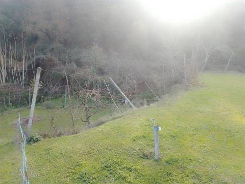 Terreno Rústico em Cinfães - Viseu Venda de Terreno em Cinfães - Viseu