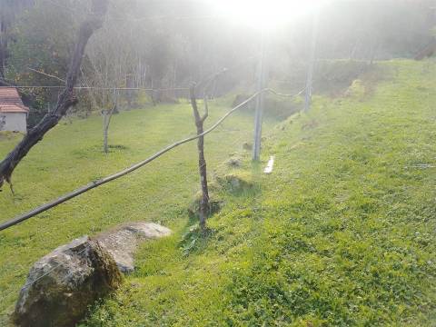 Terreno Rústico em Cinfães - Viseu Venda de Terreno em Cinfães - Viseu